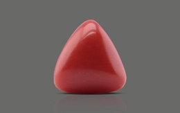 Red Coral - TC 5059 (Origin - Italy) Limited - Quality